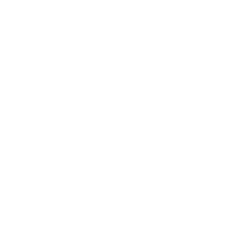 Enterprise Security